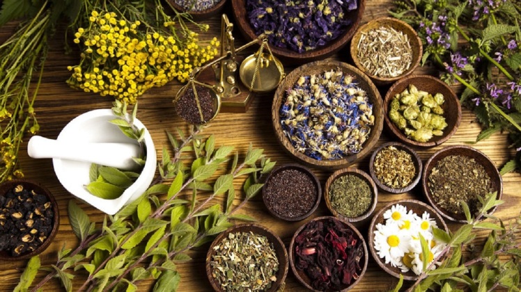 خواص و فواید داروهای گیاهی